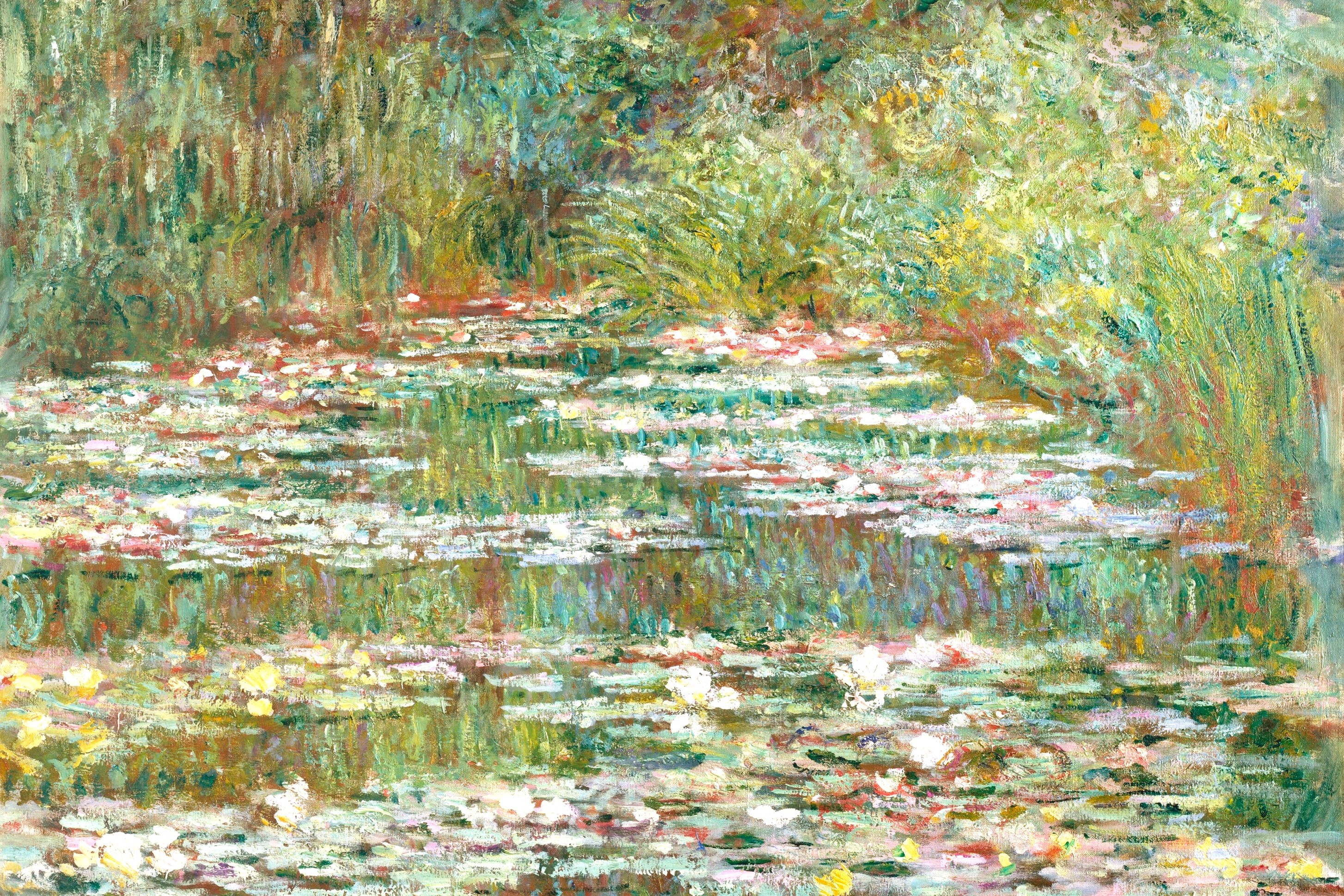 Water Lilies Pond
