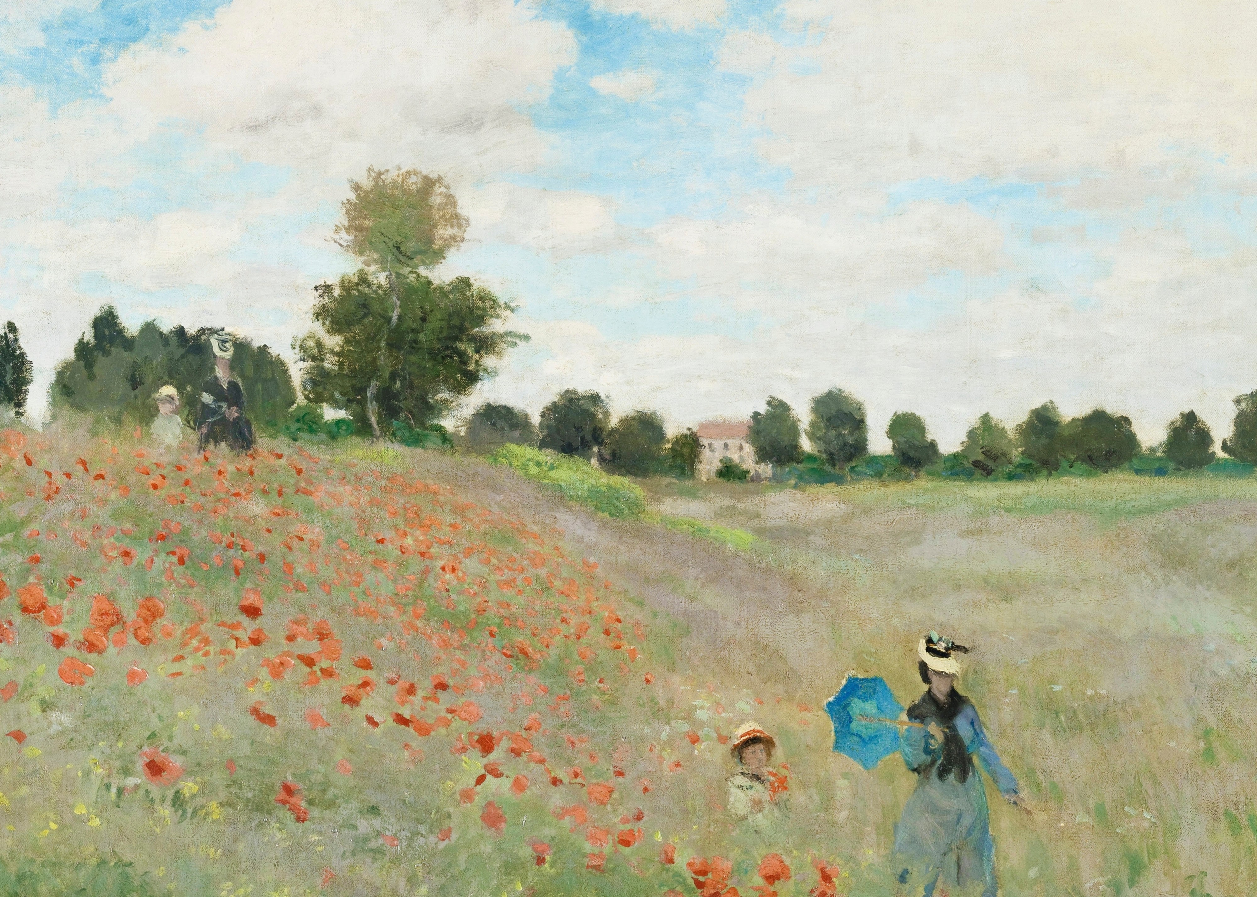 Poppy Field