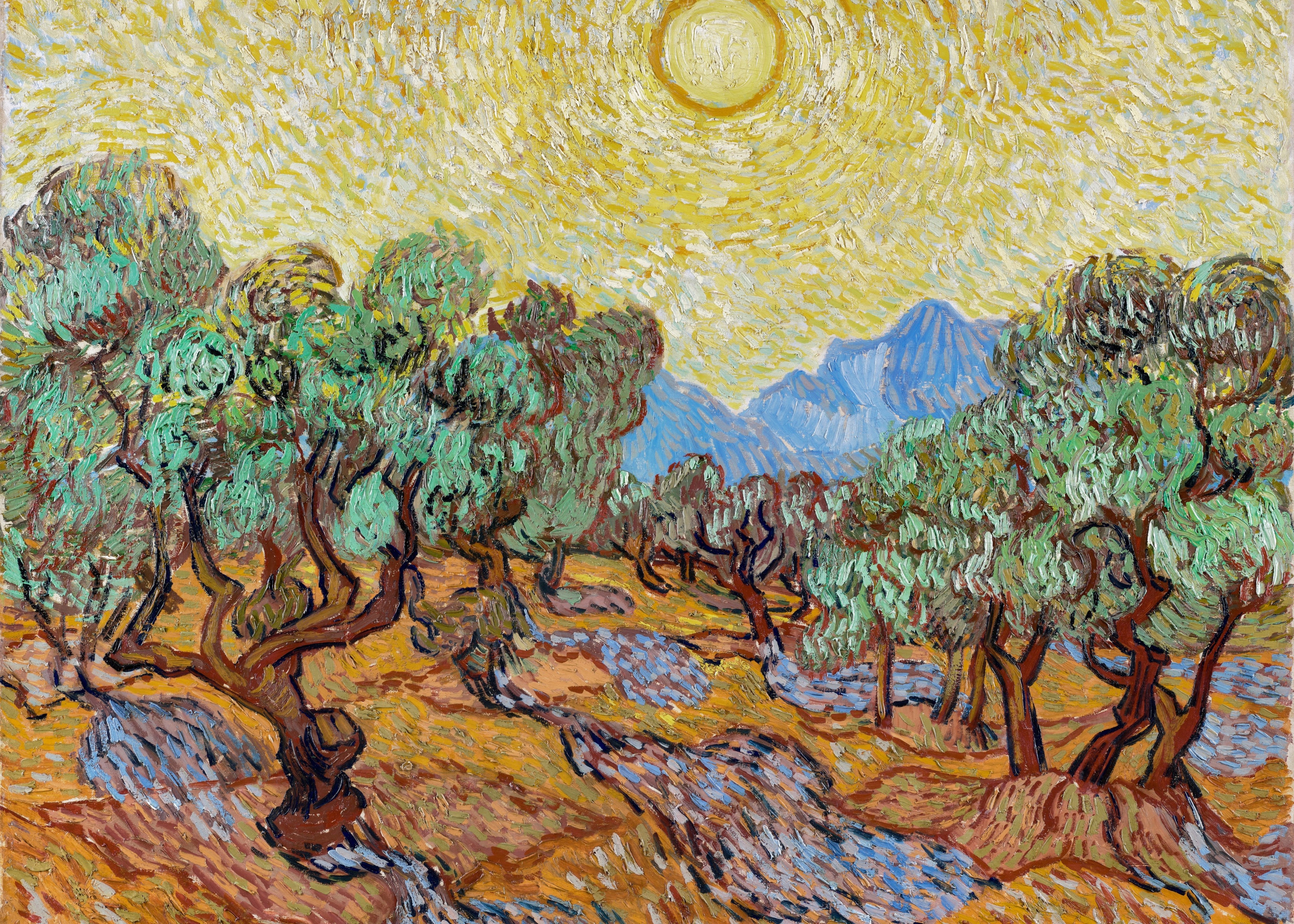 Olive Grove with Golden Sky