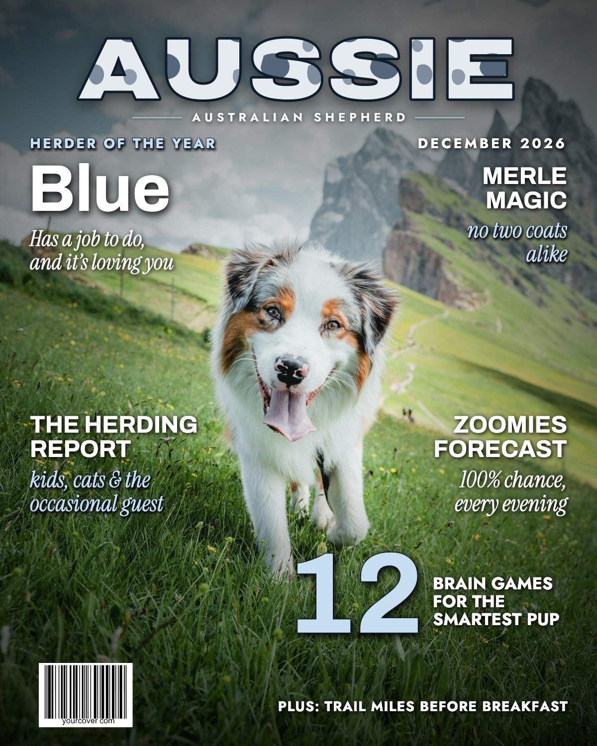 Australian Shepherd (Aussie)