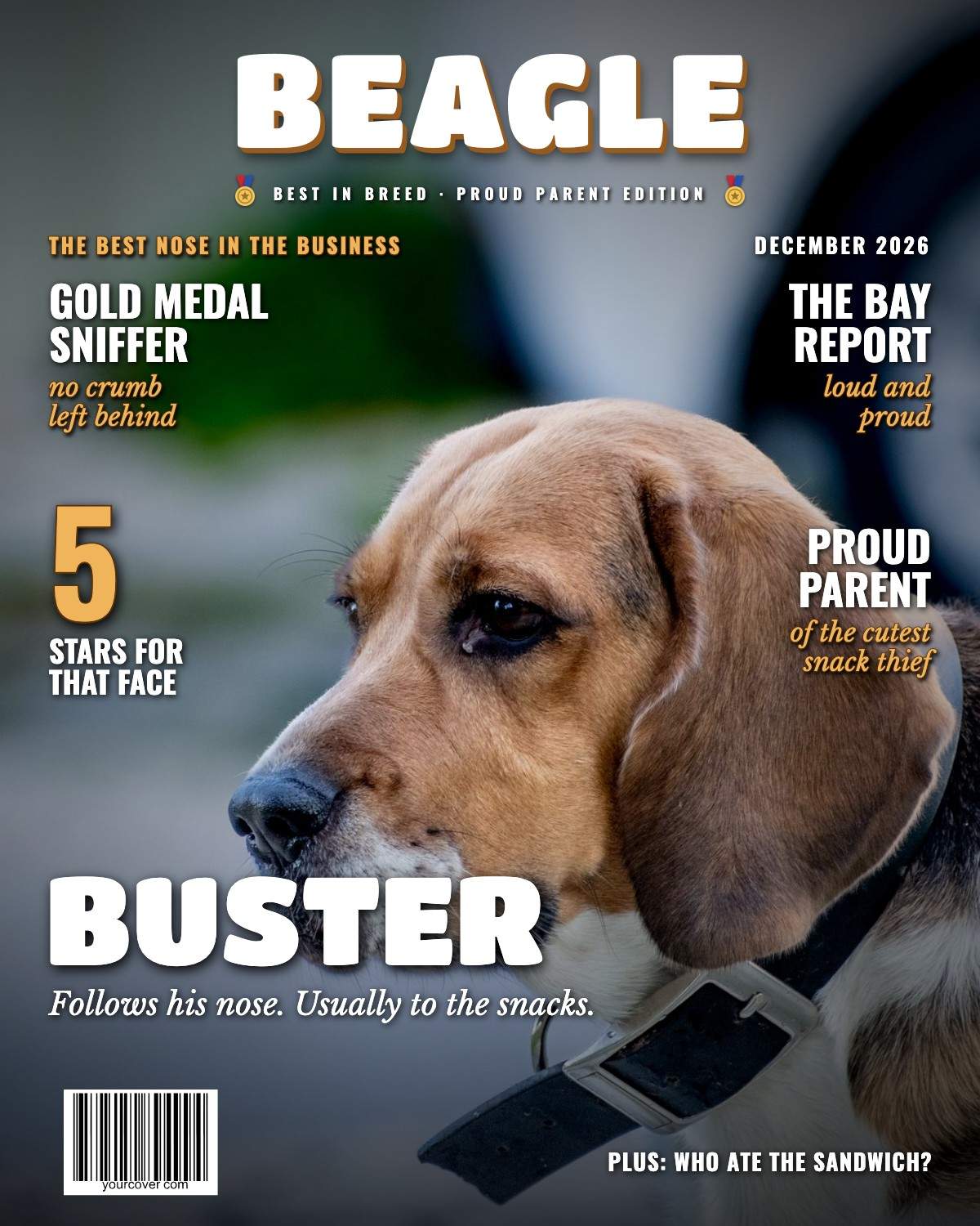 Beagle