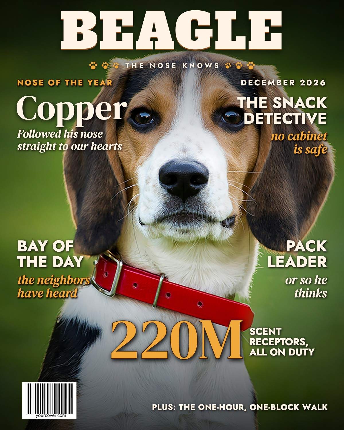 Beagle: The Nose Knows