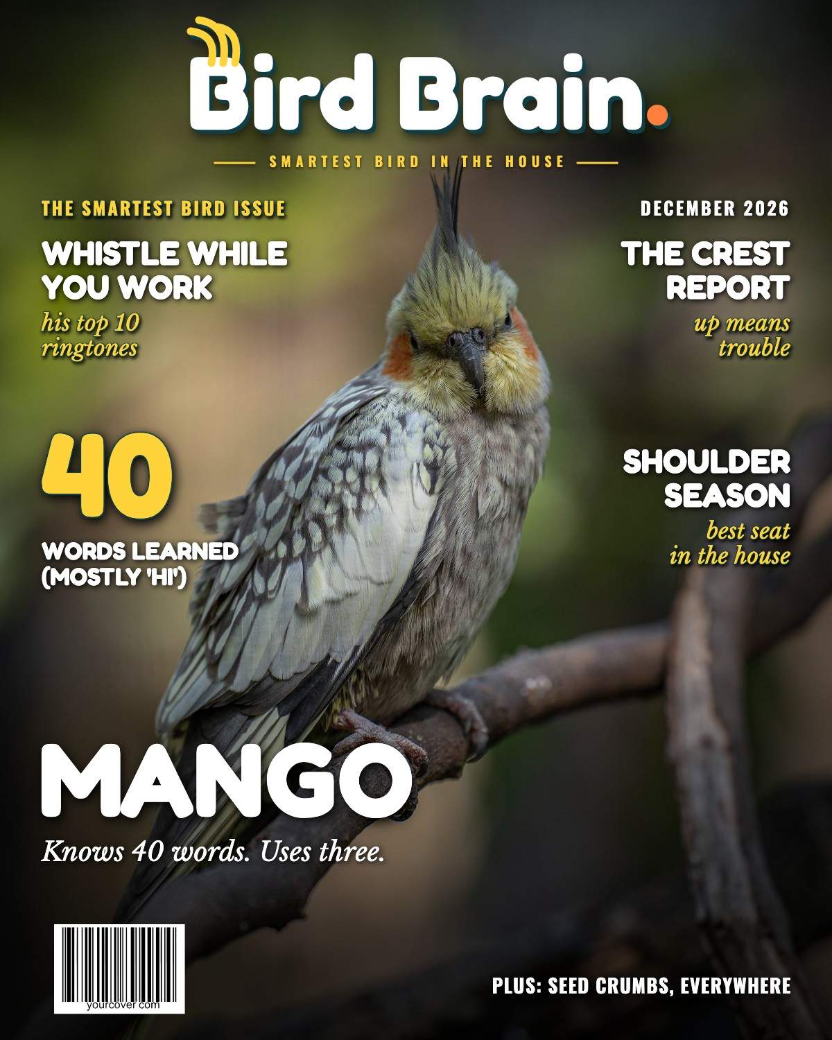 Bird Brain