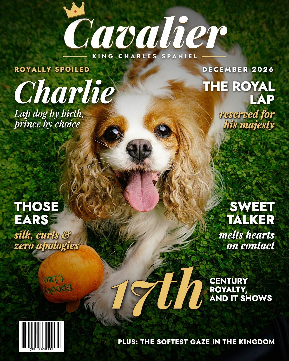 Cavalier King Charles Spaniel