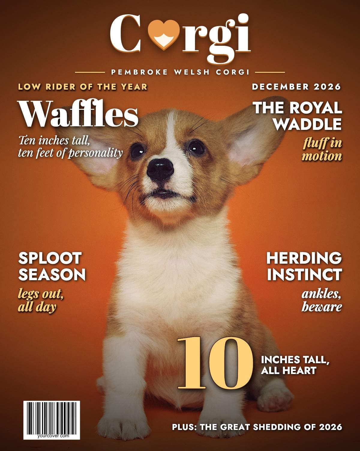 Corgi
