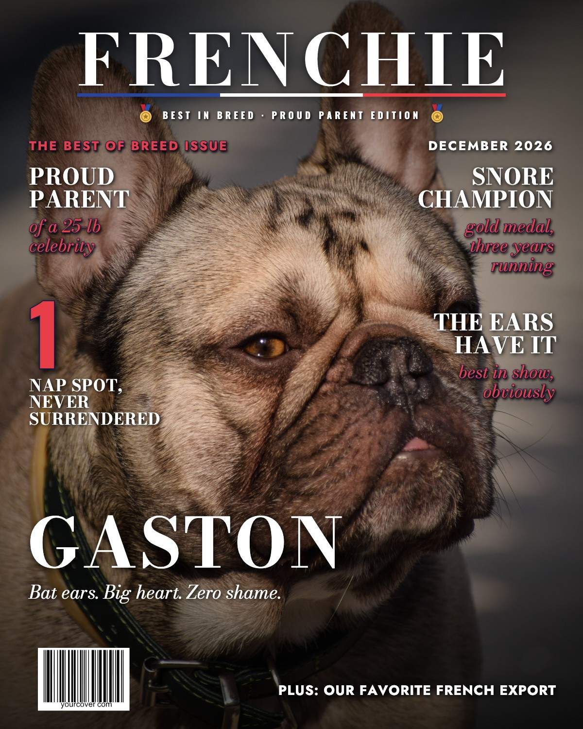 French Bulldog (Frenchie)