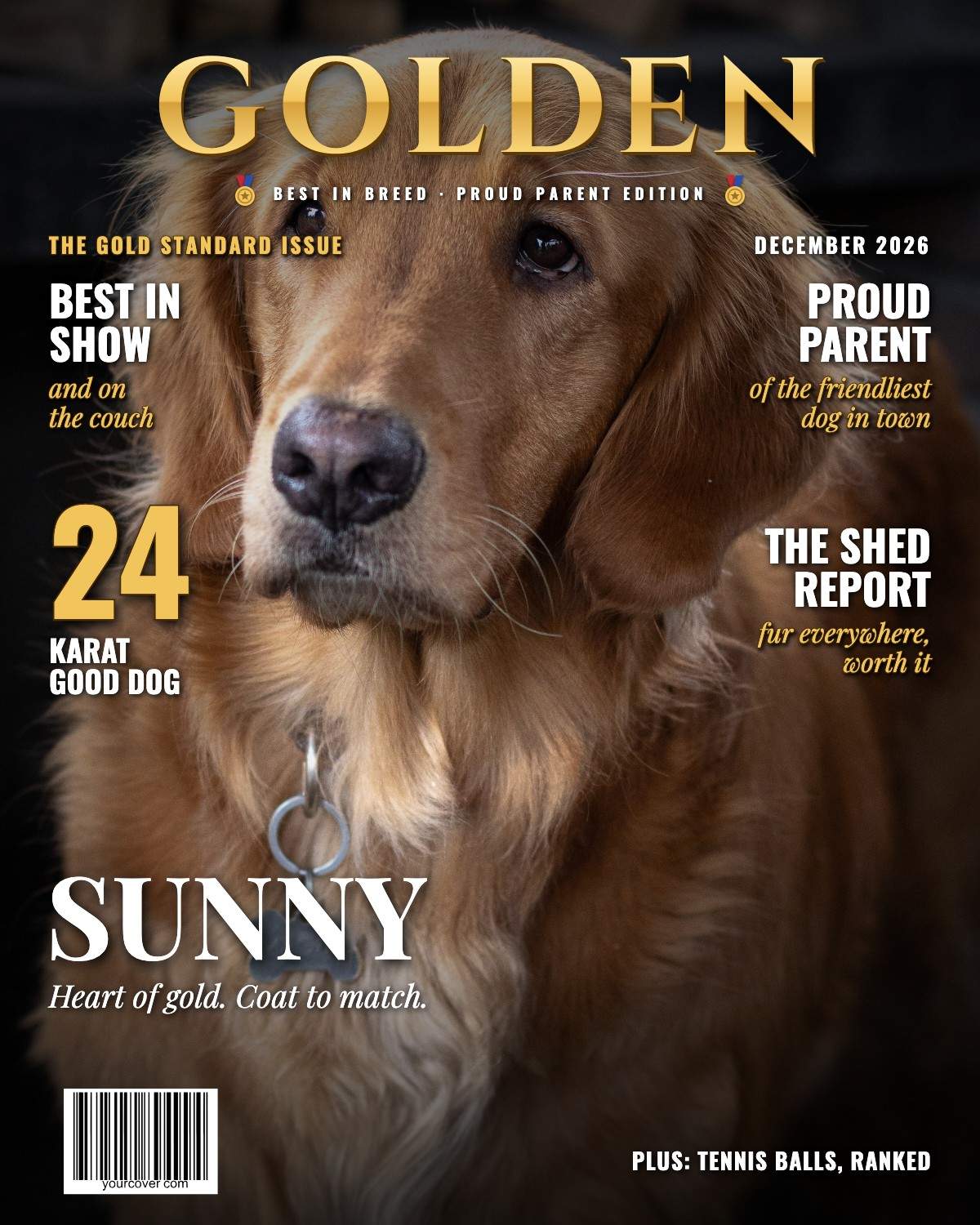 Golden Retriever