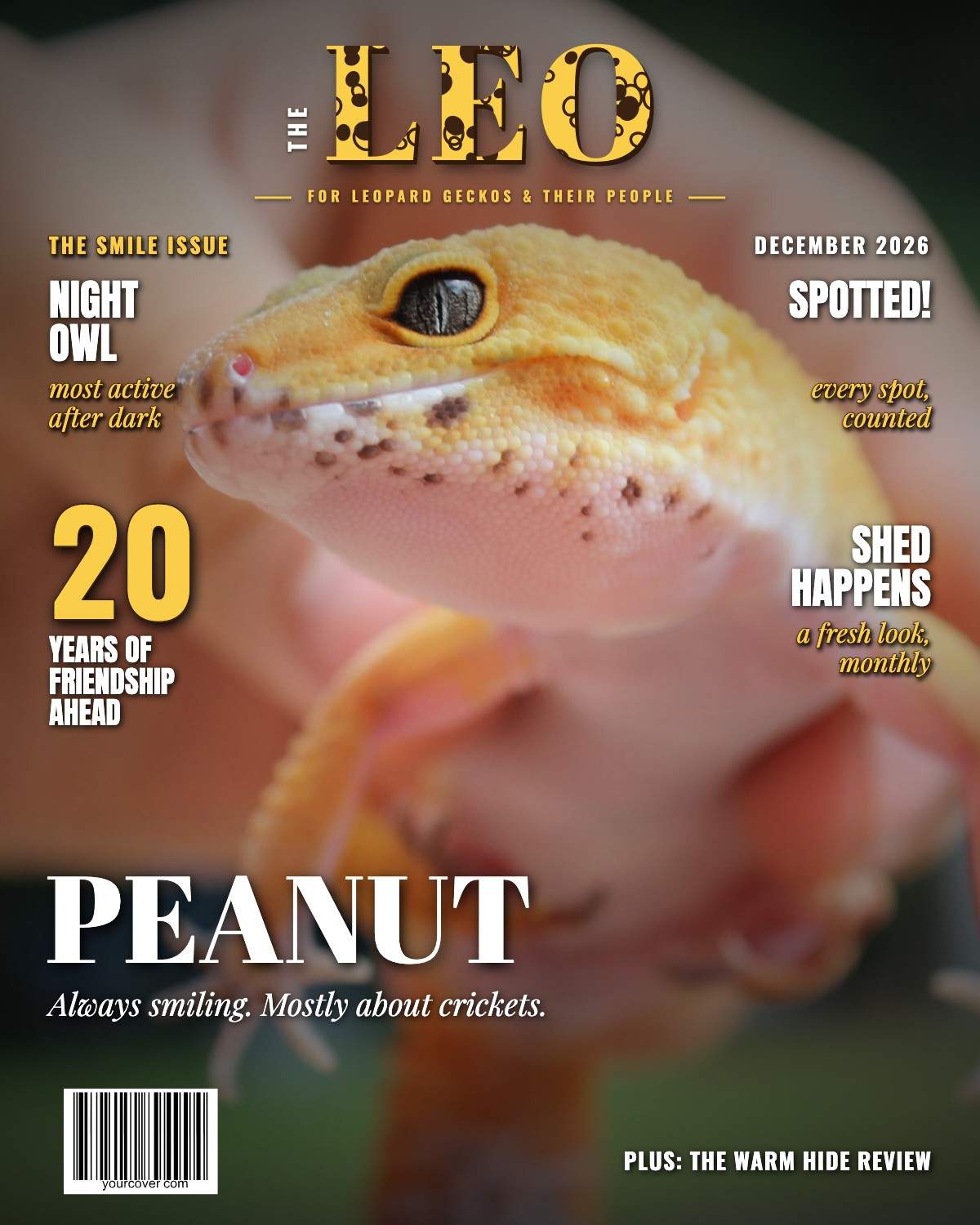 Leopard Gecko (The Leo)