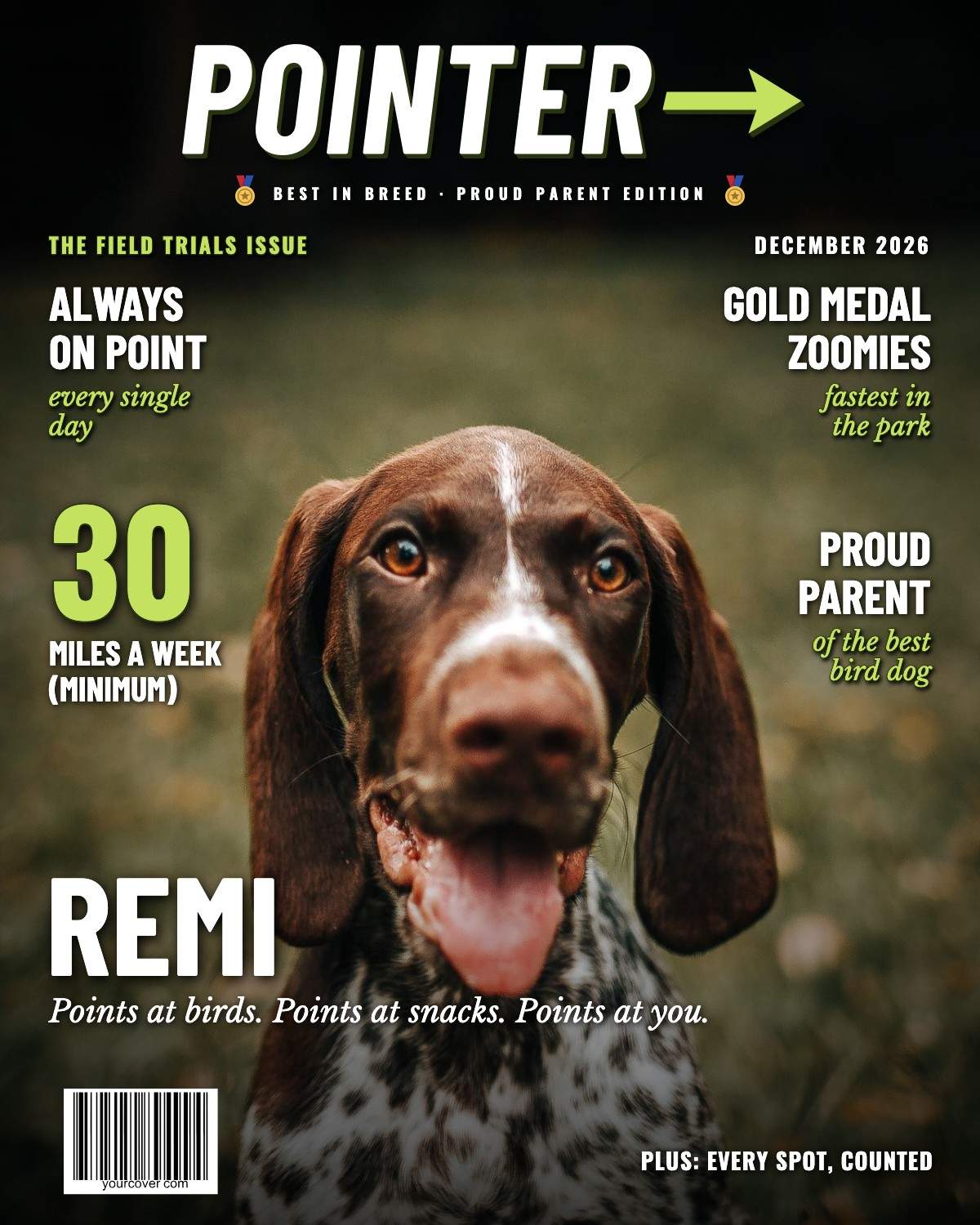 German Shorthaired Pointer