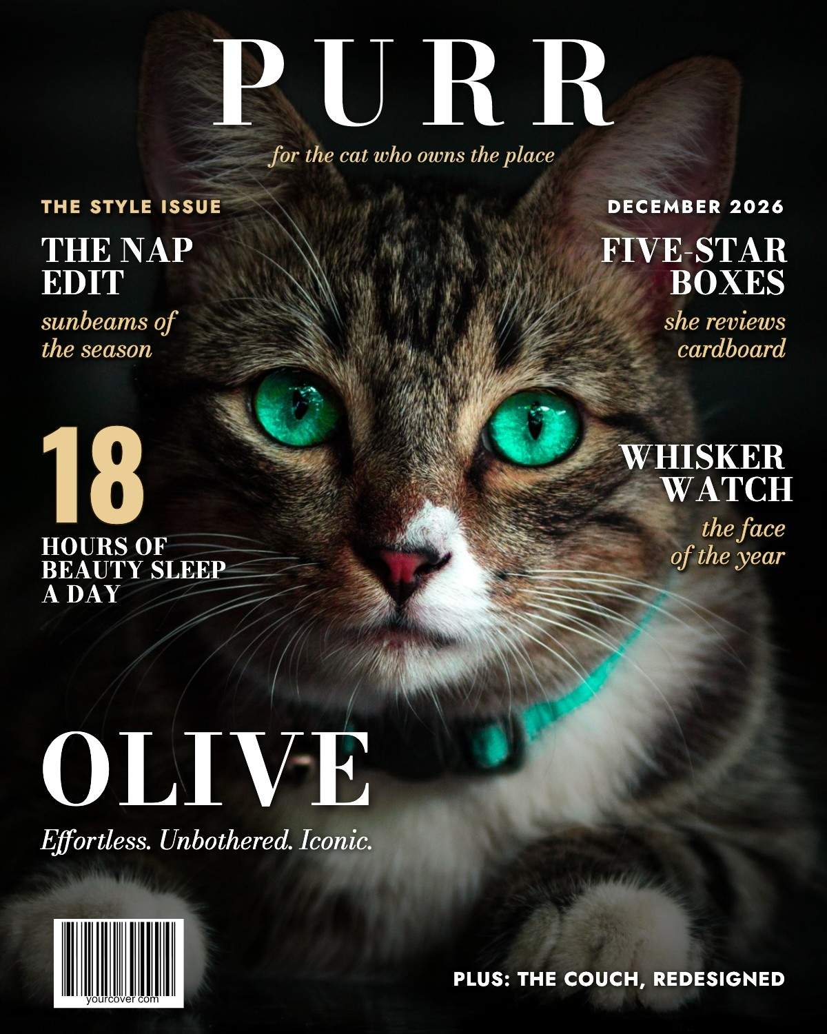 Purr