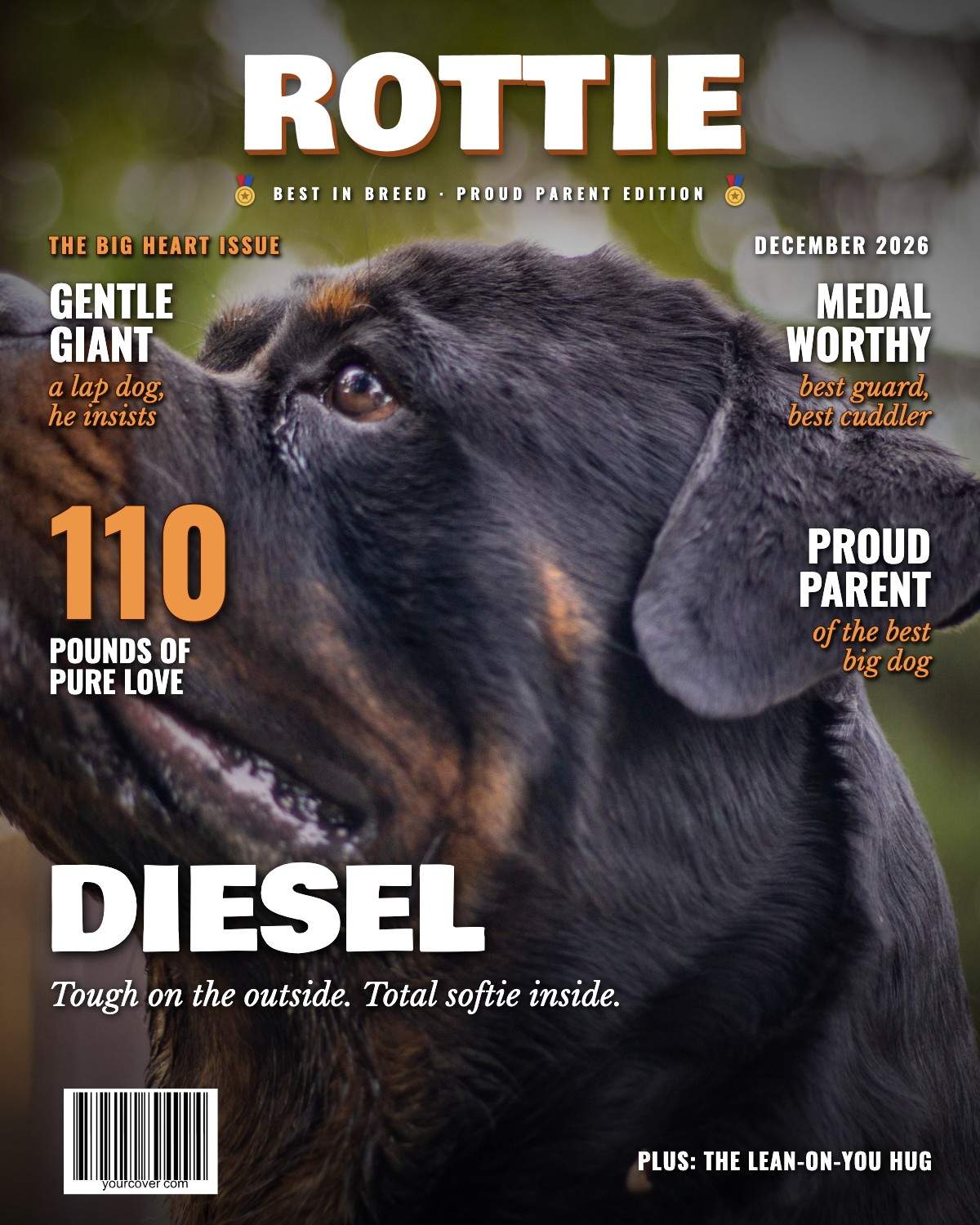 Rottweiler (Rottie)