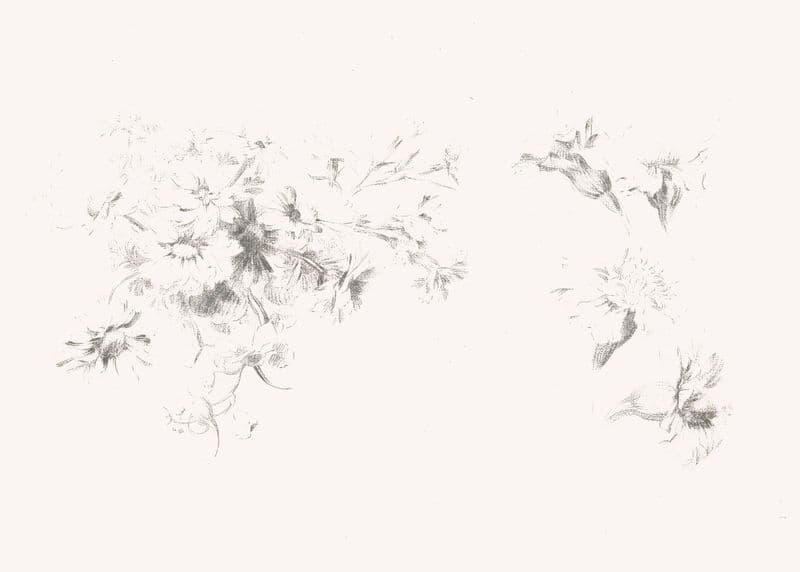 Minimalist