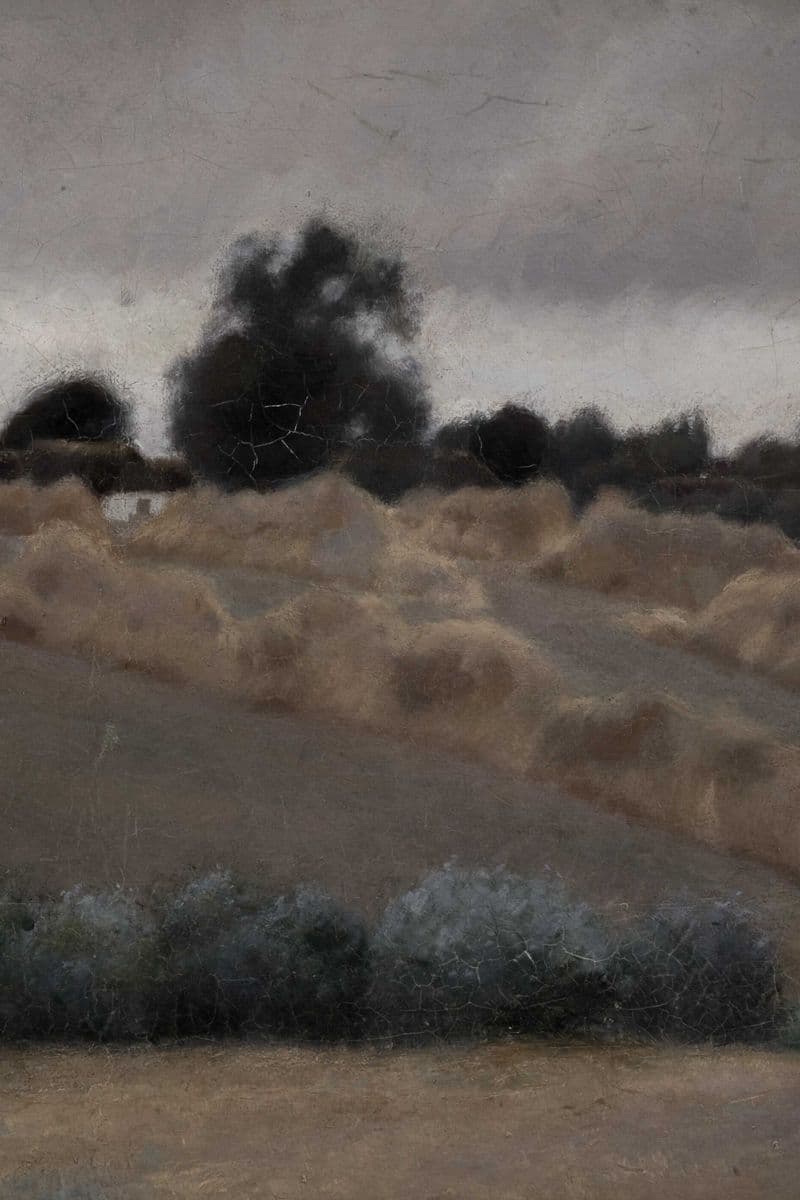 Moody Landscape
