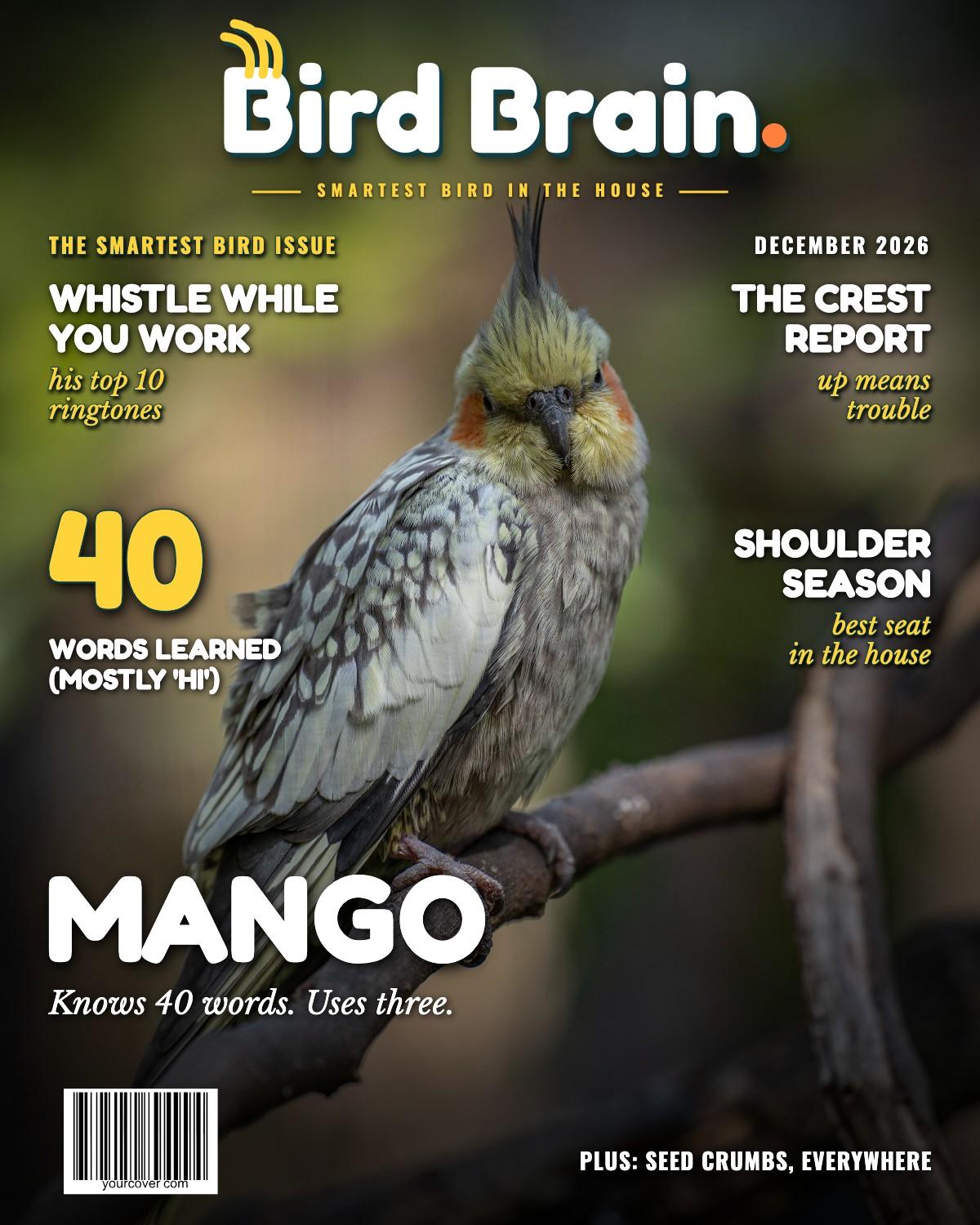 Bird Brain magazine cover template