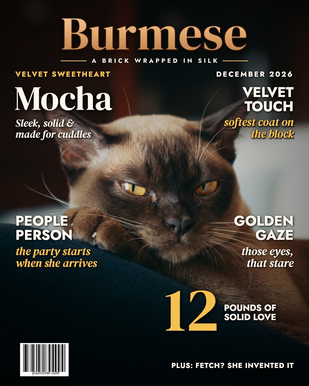 Burmese magazine cover template