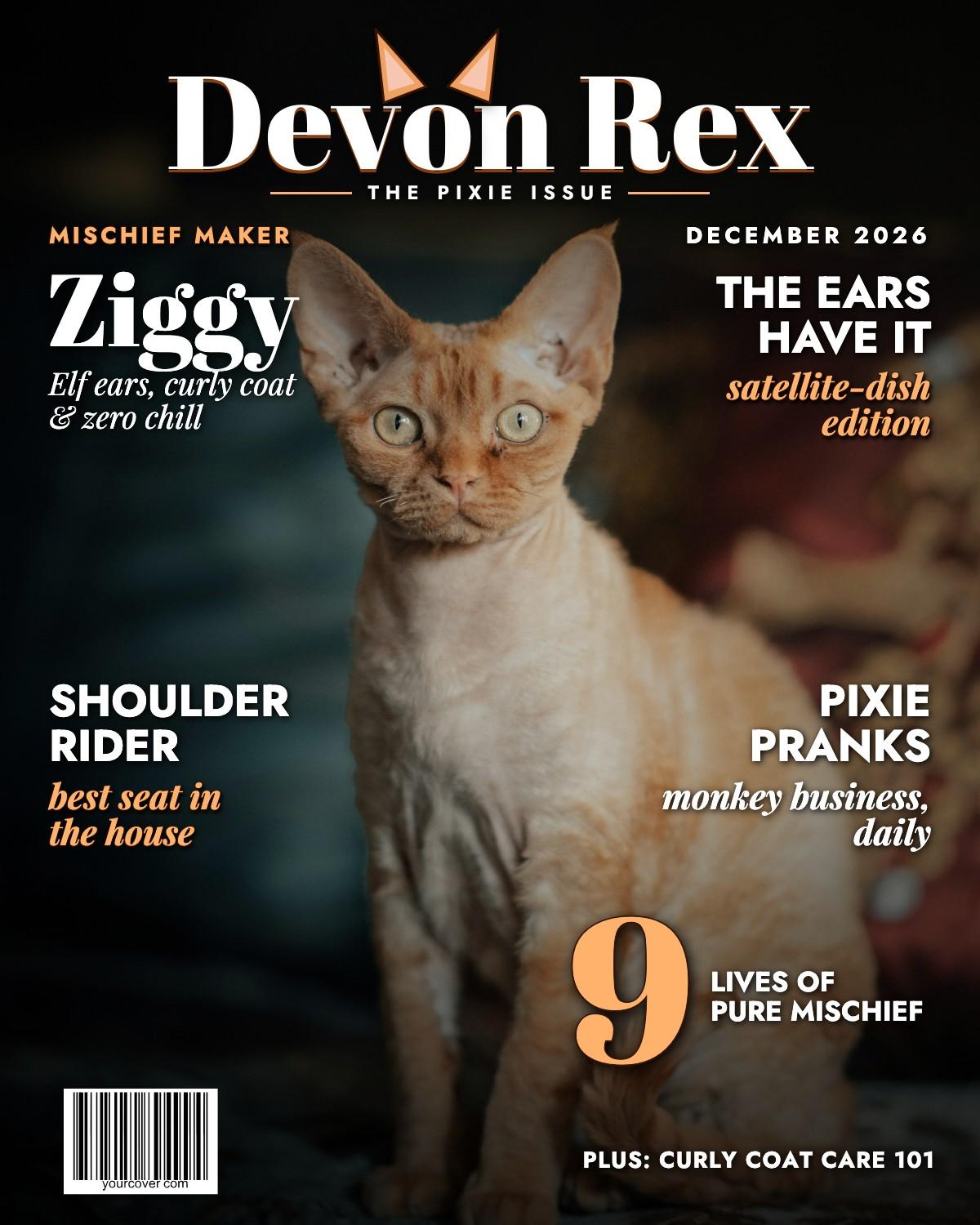 Devon Rex magazine cover template