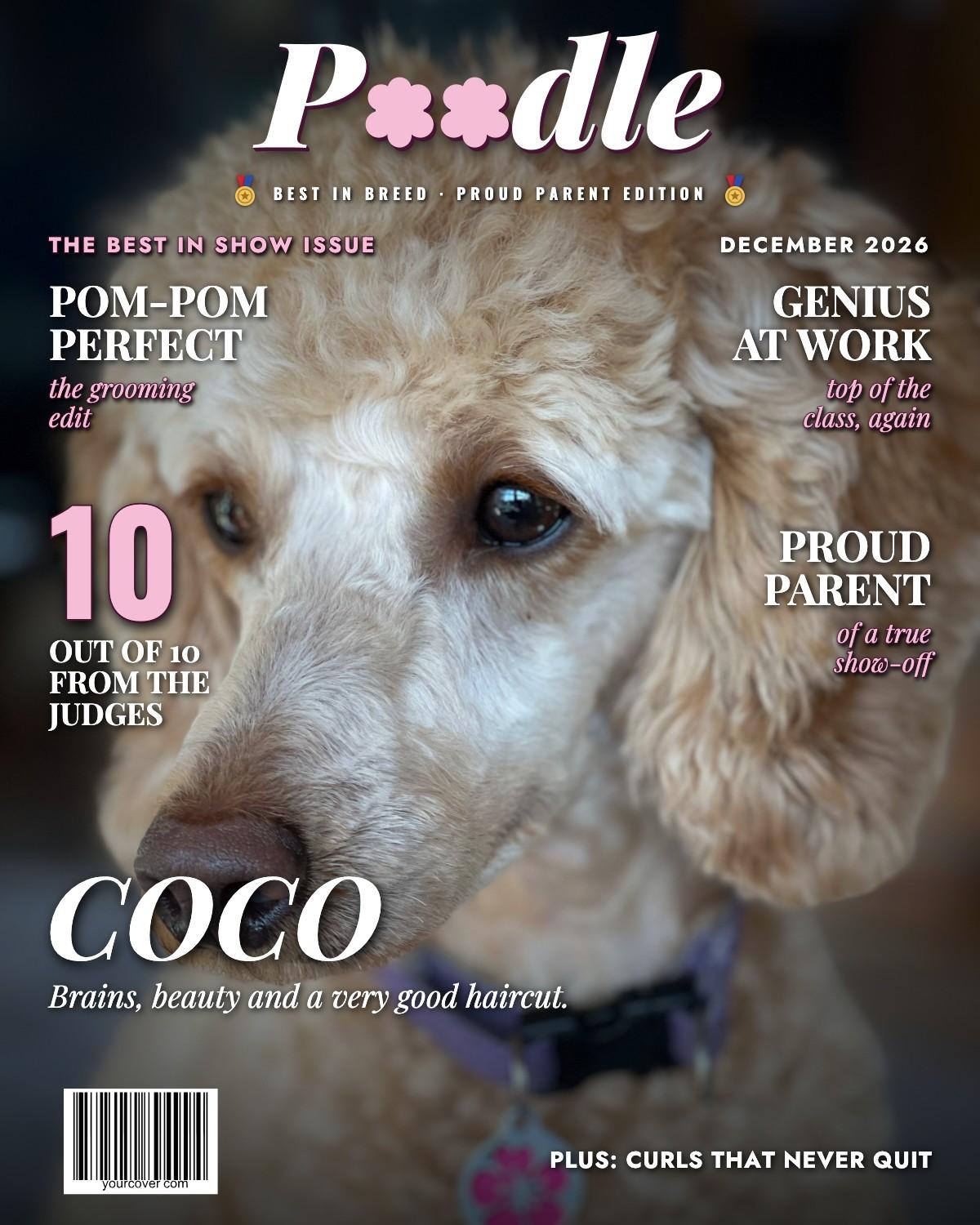 Poodle magazine cover template