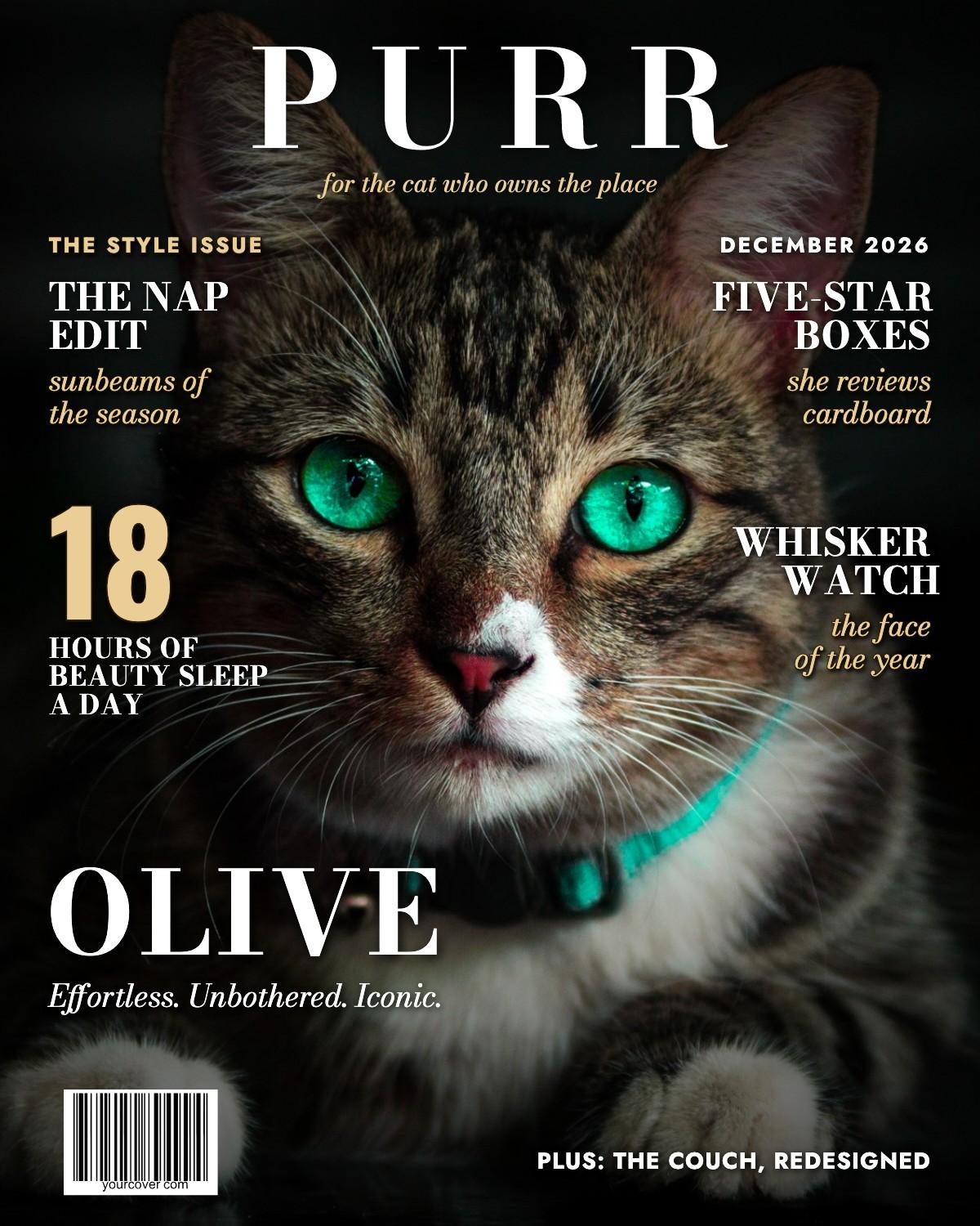 Purr magazine cover template