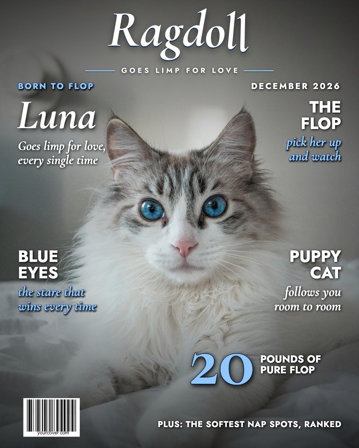 Ragdoll magazine cover template
