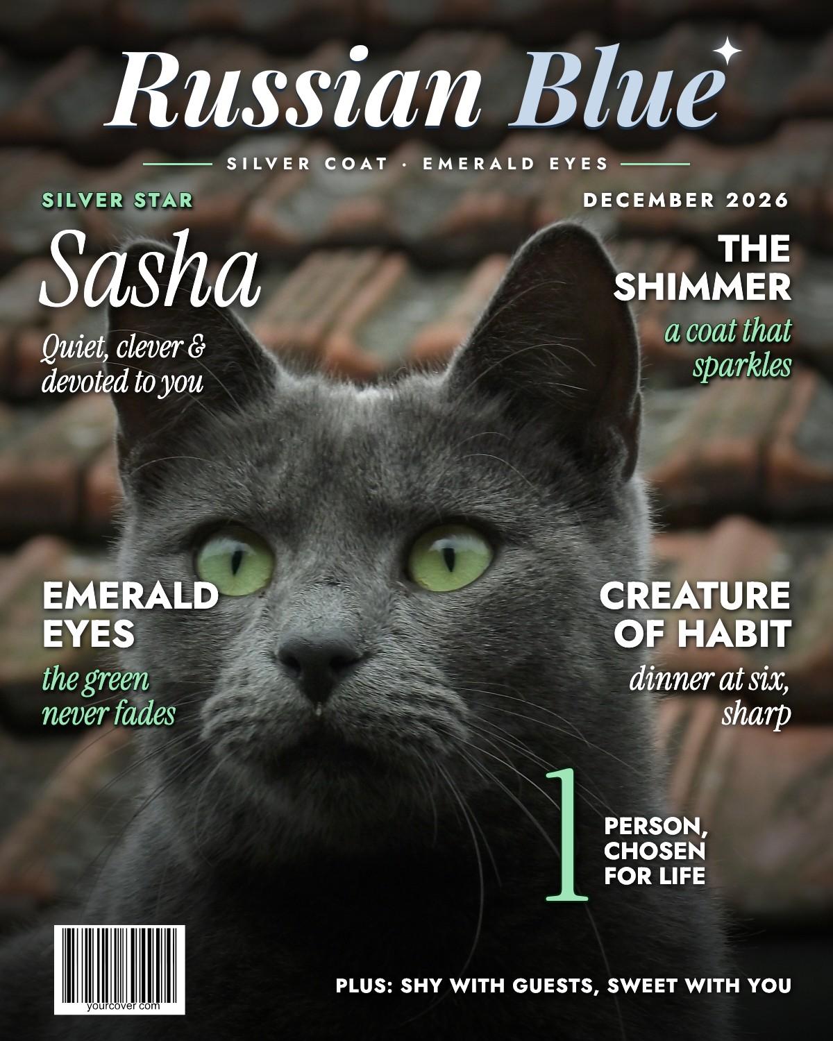 Russian Blue magazine cover template