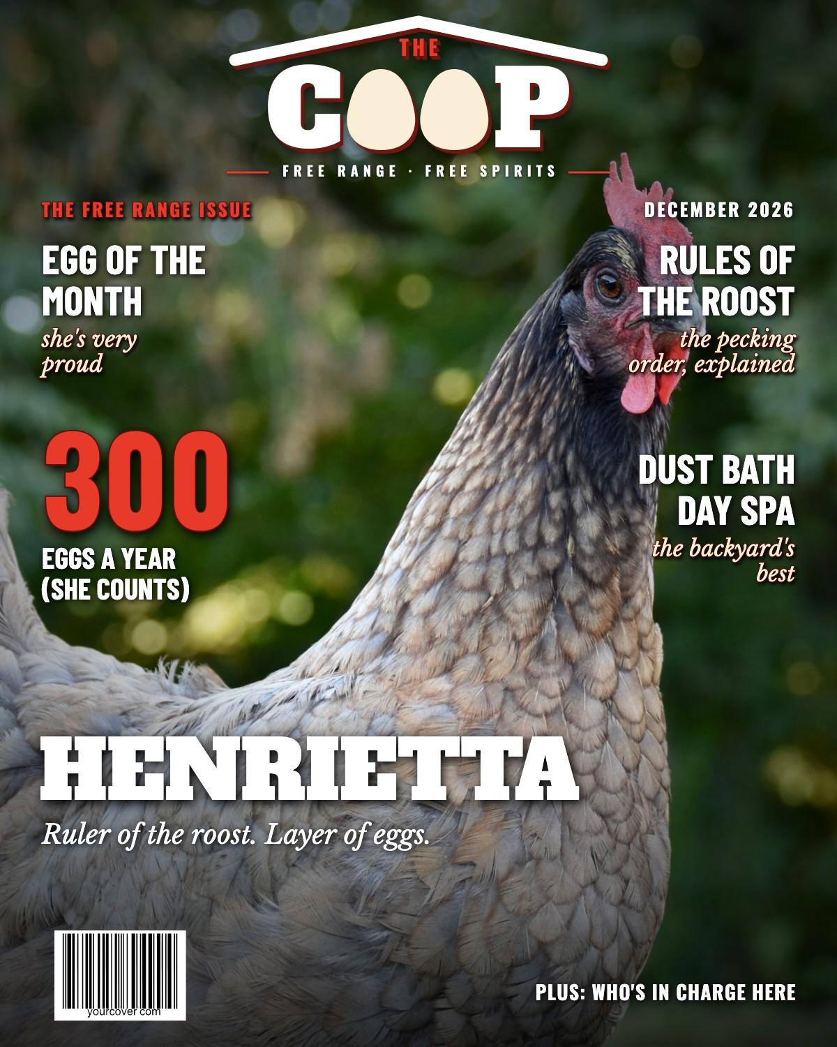 Chicken (The Coop) magazine cover template