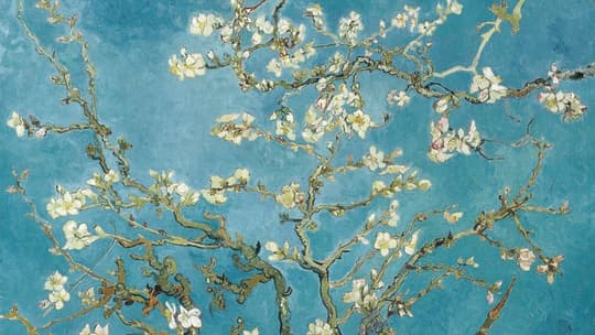 Almond Blossoms