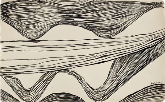 Flowing Waves in Motion