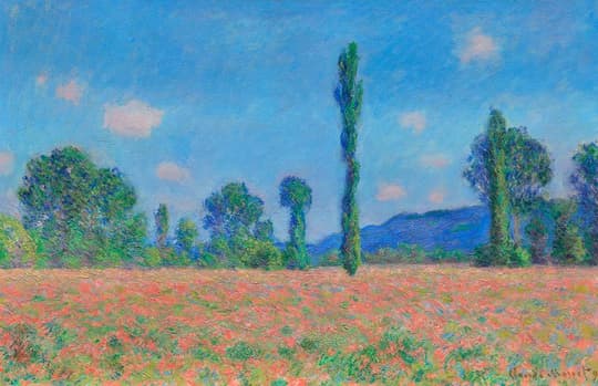 Poppy Field at Sunrise