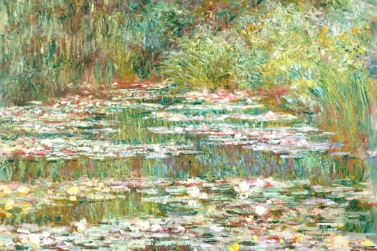 Water Lilies Pond