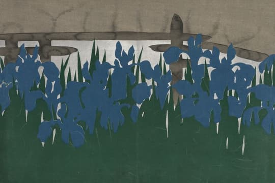 Blue Iris Garden