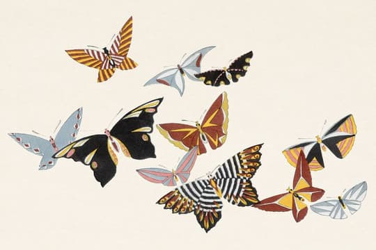 Butterflies Study