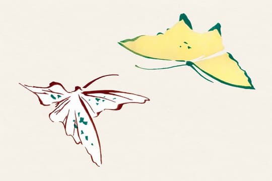 Moths in Flight