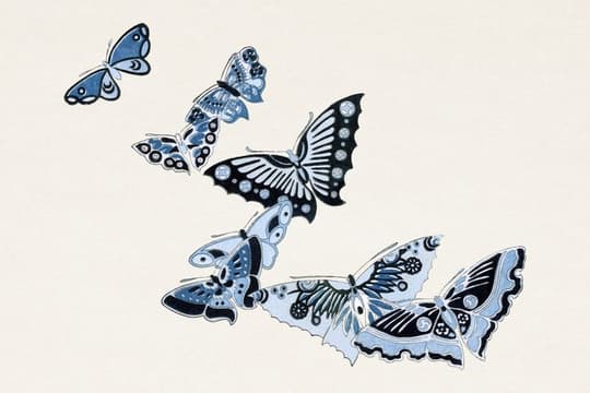 Blue & Black Butterflies