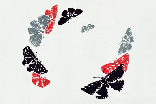 Butterflies and Blossoms