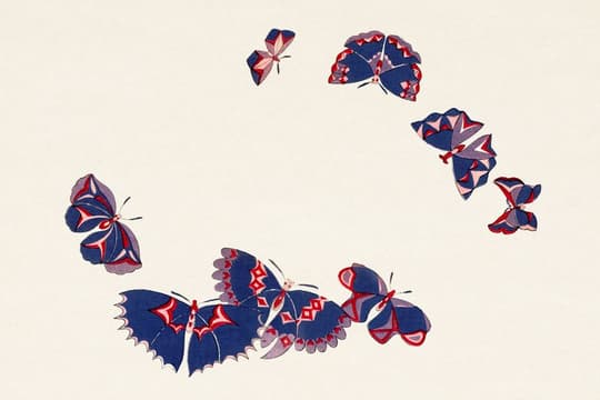 Butterflies in Flight