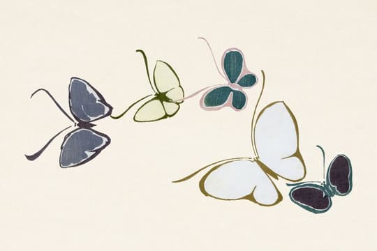 Butterflies in Flight