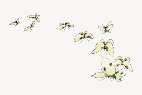 Floating insects