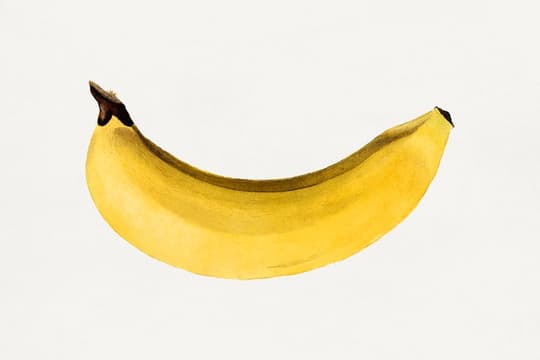 Single Banana