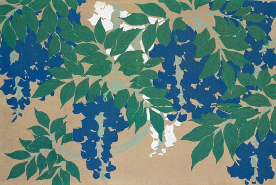 Wisteria Blossoms