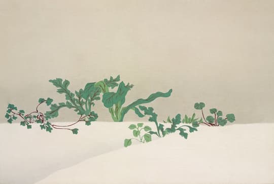Botanical Study in Mist
