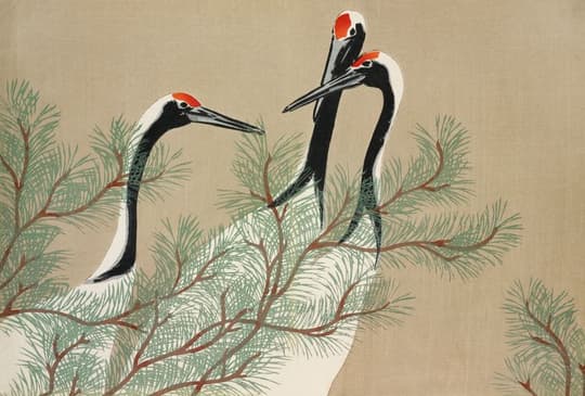 Cranes Among Pine Branches