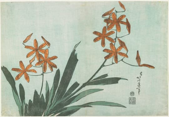 Red Flowers with Green Stems
