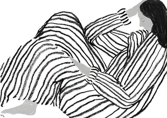 Striped Wings in Motion