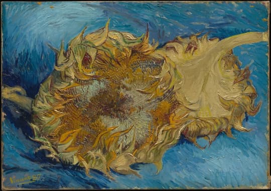 Sunflowers, by Vincent van Gogh, 1887