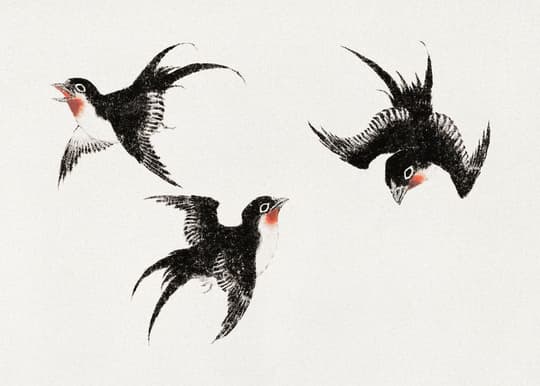 Three Swallows in Flight