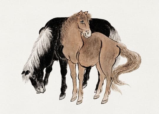 Two Horses Study