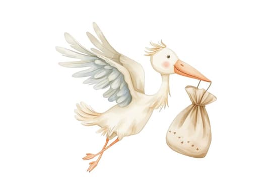 Stork with Bundle