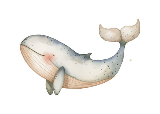 Gentle Whale