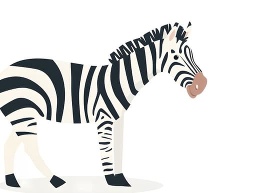 Zebra Profile