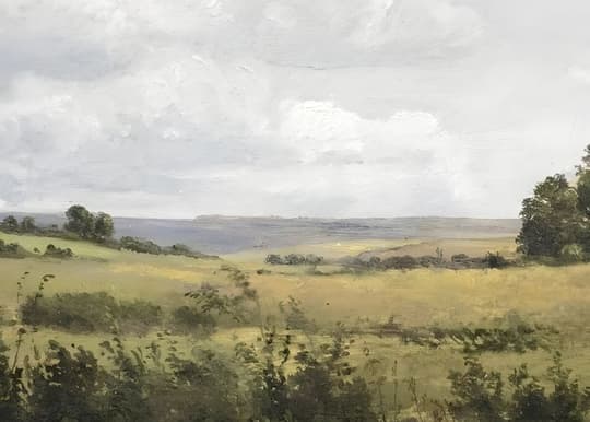 Rolling Meadow Landscape
